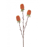 Sunset Autumn Thistle 29"