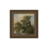 Painted Trees