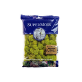 Chartreuse Reindeer Moss