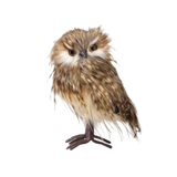 9" Standing Owl