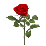Velvet Rose Stem 25"