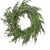 Iced Garden Norfolk Pine Wreath 24"