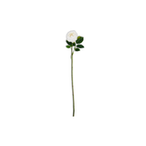 24 in. White Real Touch Austin Rose Stem