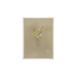 Flowering Yellow Plant Artwork