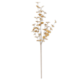 34" Yellow Eucalyptus Stem