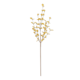 34" Yellow Eucalyptus Stem