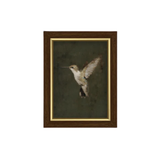 Hummingbird on Green