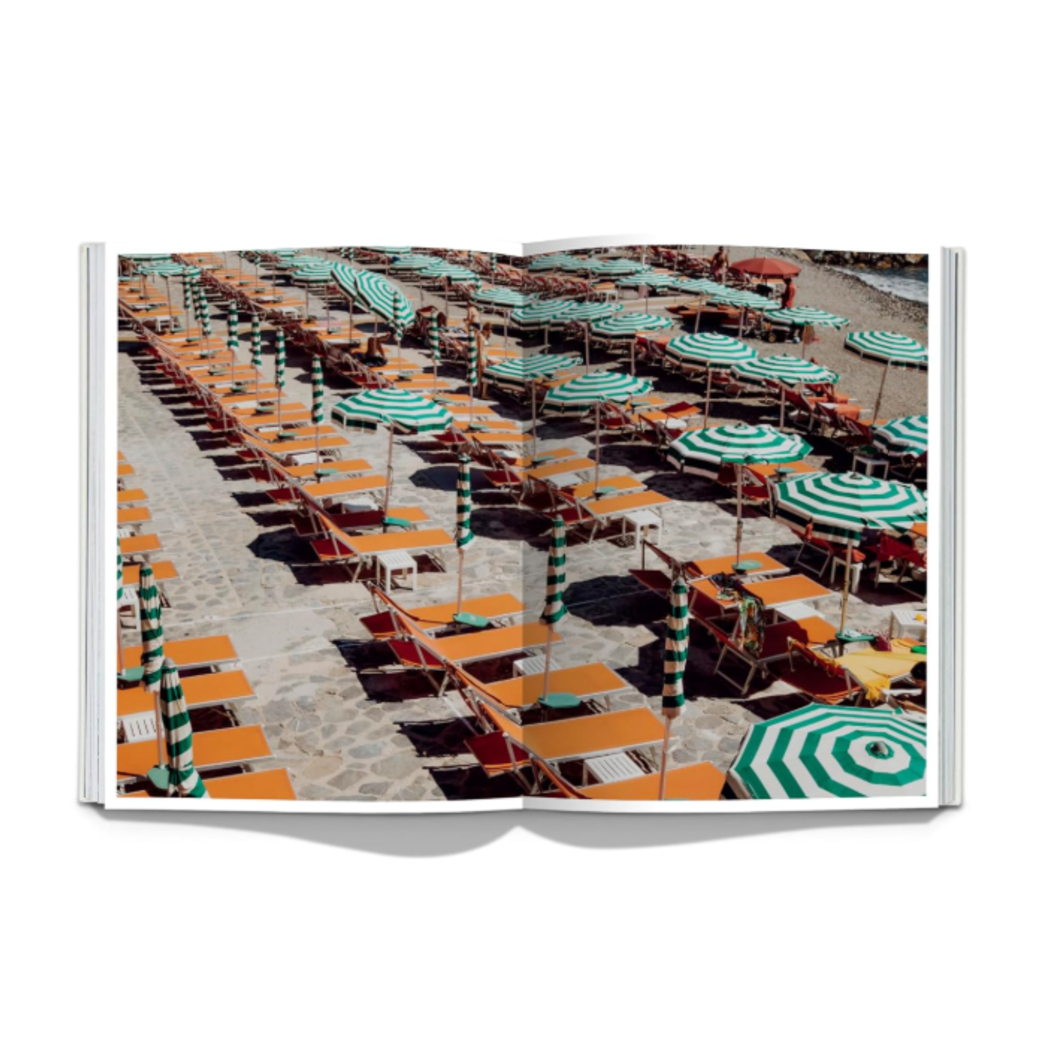 Slide image