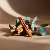 Balsam & Cedar V2 by Illume - Smart Vial | Pura