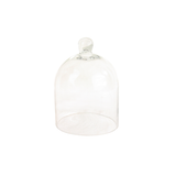 Small Glass Cloche