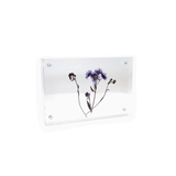 Acrylic Standing Frame- 4"x6"