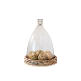 Glass Dome with Willow Base