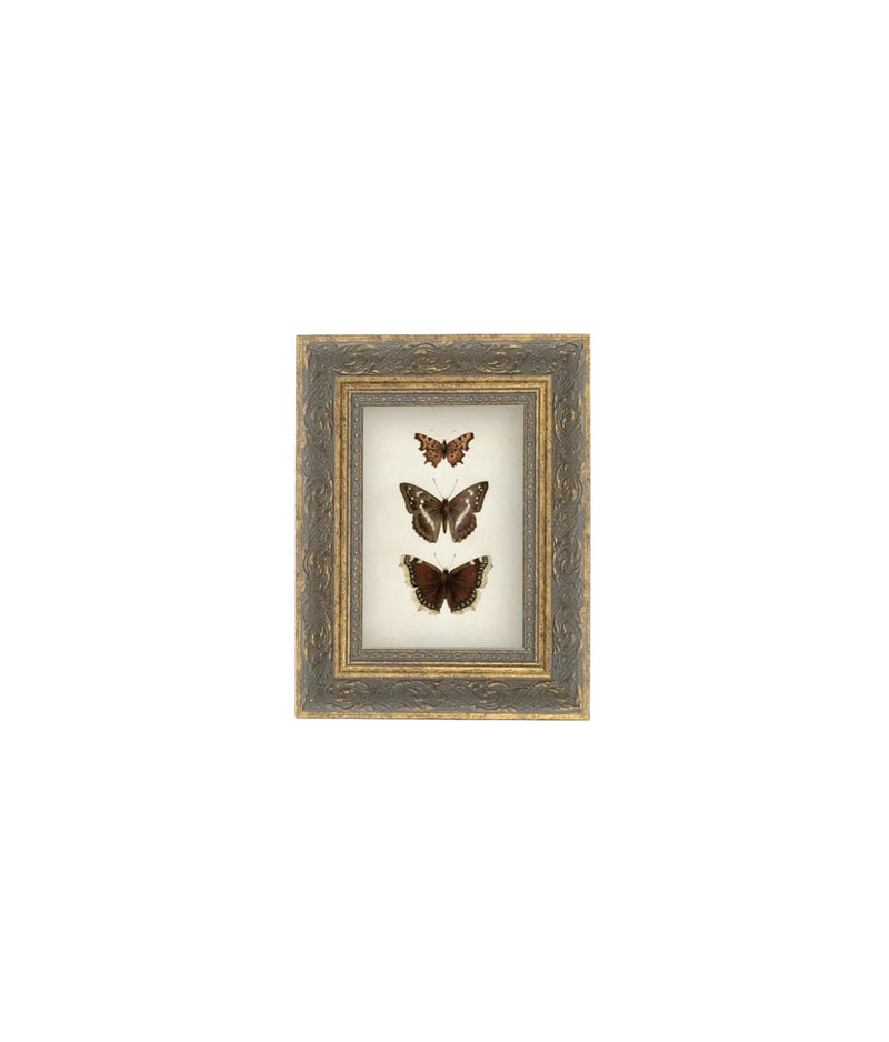 Three Butterflies Framed Art