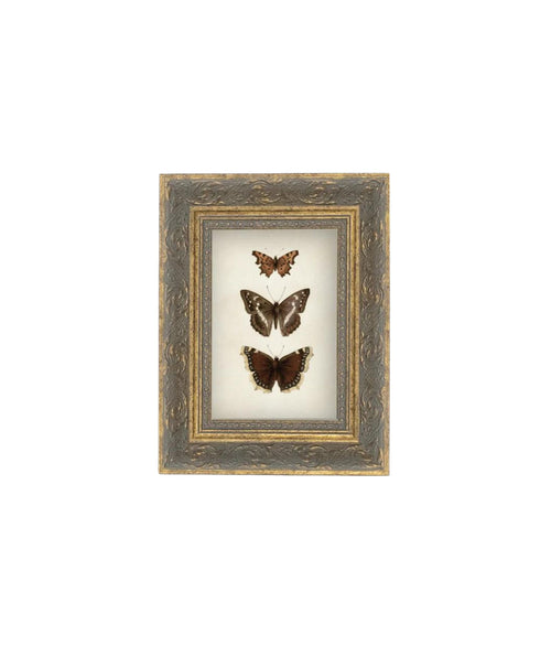 Three Butterflies Framed Art