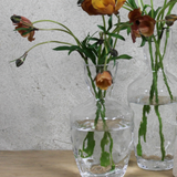 Organic Vase with Tall Neck