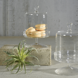 Vera Glass Dome & Pedestal
