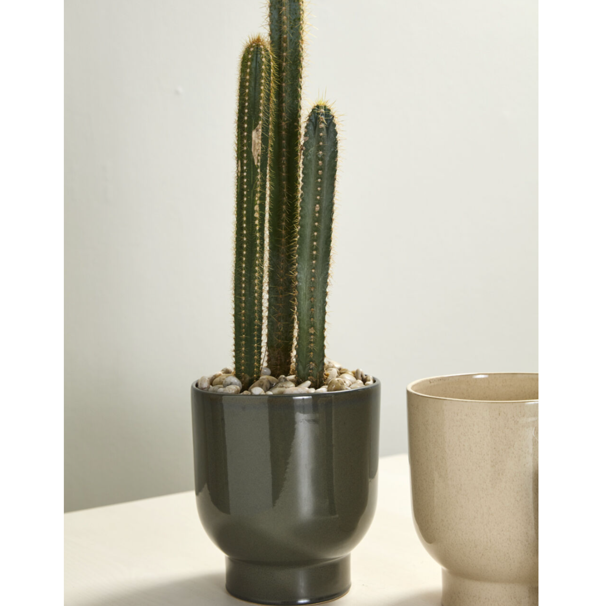 Fischer Pot