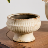 Cadmus Compote