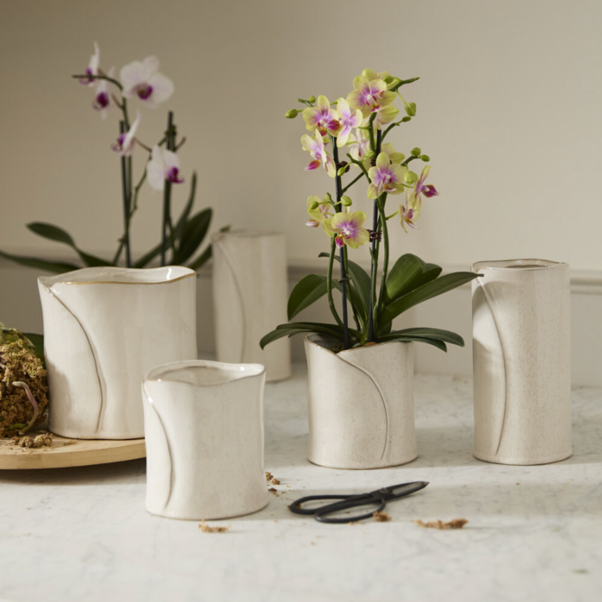 Diane Pot & Vase
