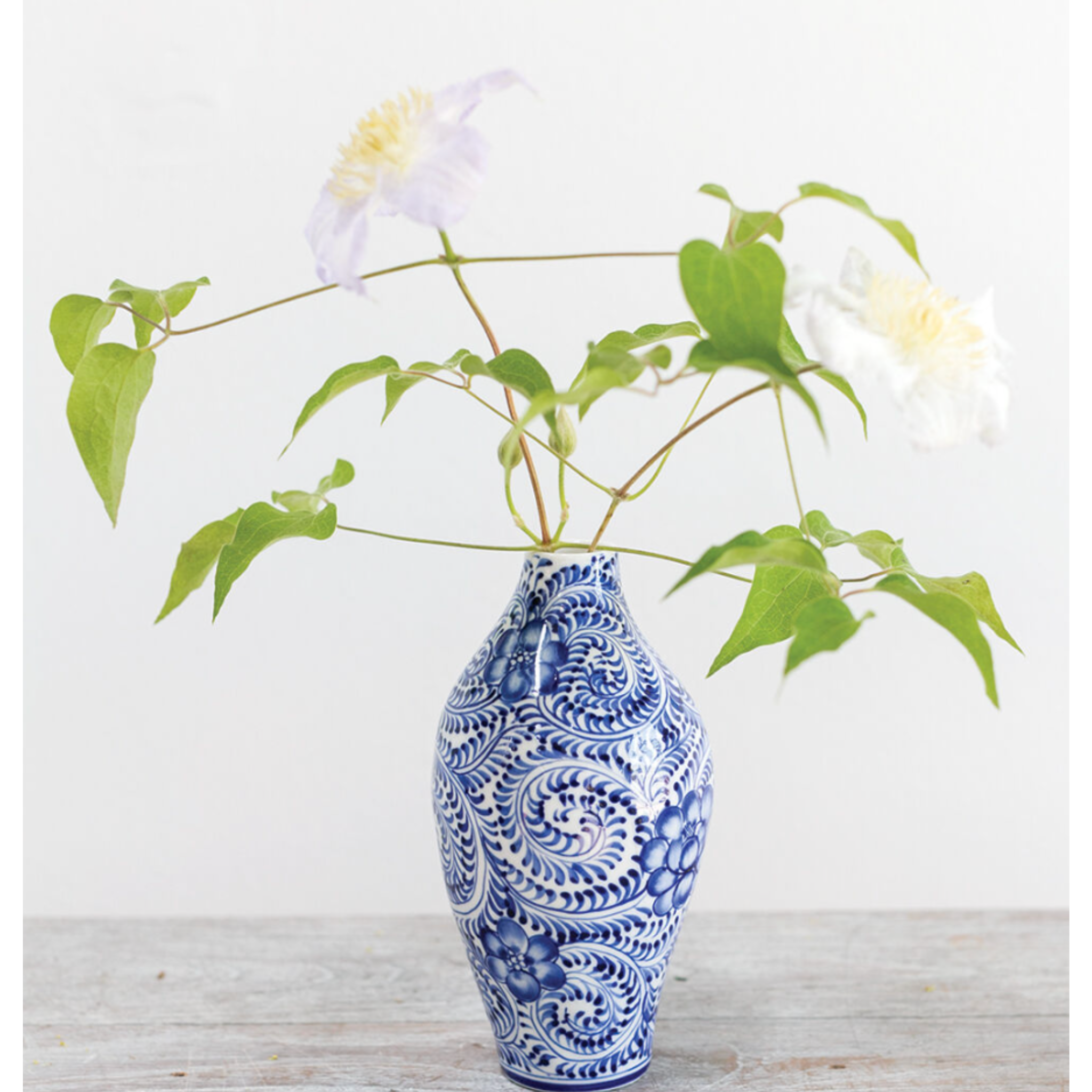 Eleanor Budvase