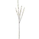 31" Gray Pussy Willow Stem