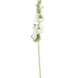 43" White Hollyhock Stem