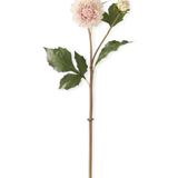 20" Light Peach Real Touch Dahlia Bud & Bloom