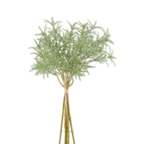 13" Rosemary Bundle (6 Stems)