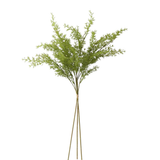 27" Water Sprite Fern Bundle (3 Stems)