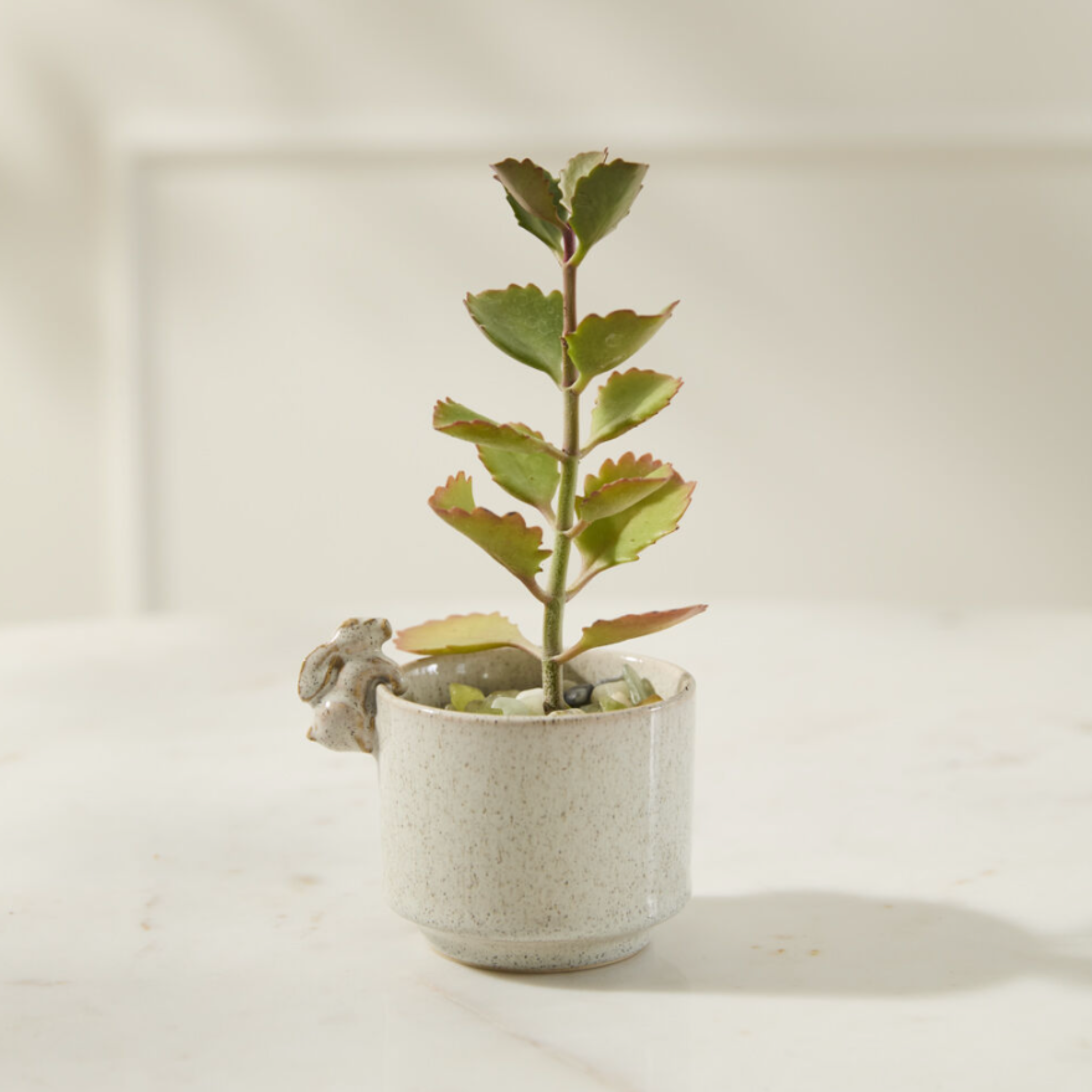 Sneaky Bunny Pot