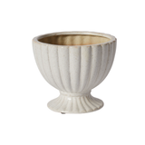 Coronation Compote