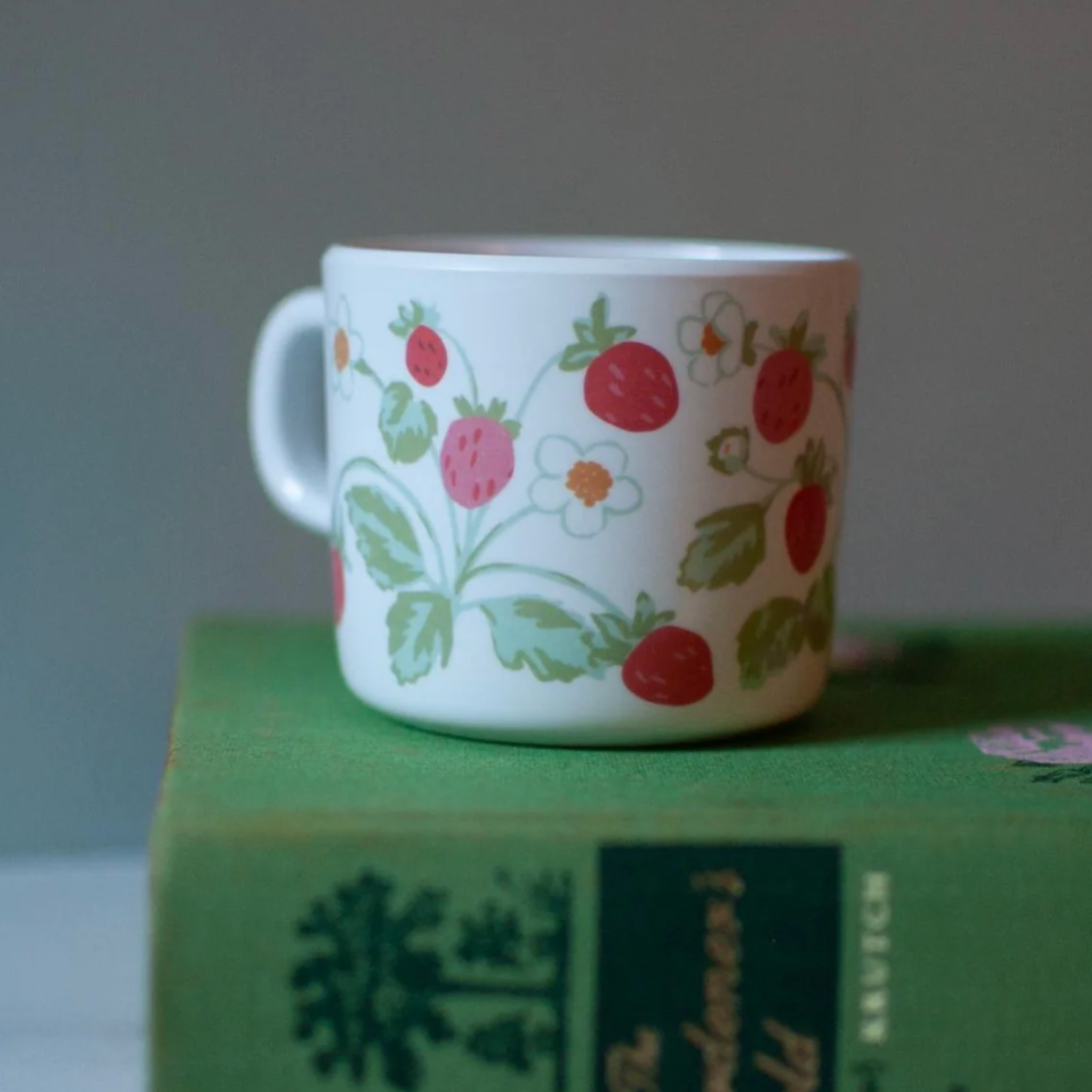 Strawberry Sippy Cup