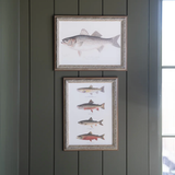 Vintage Trout Artwork