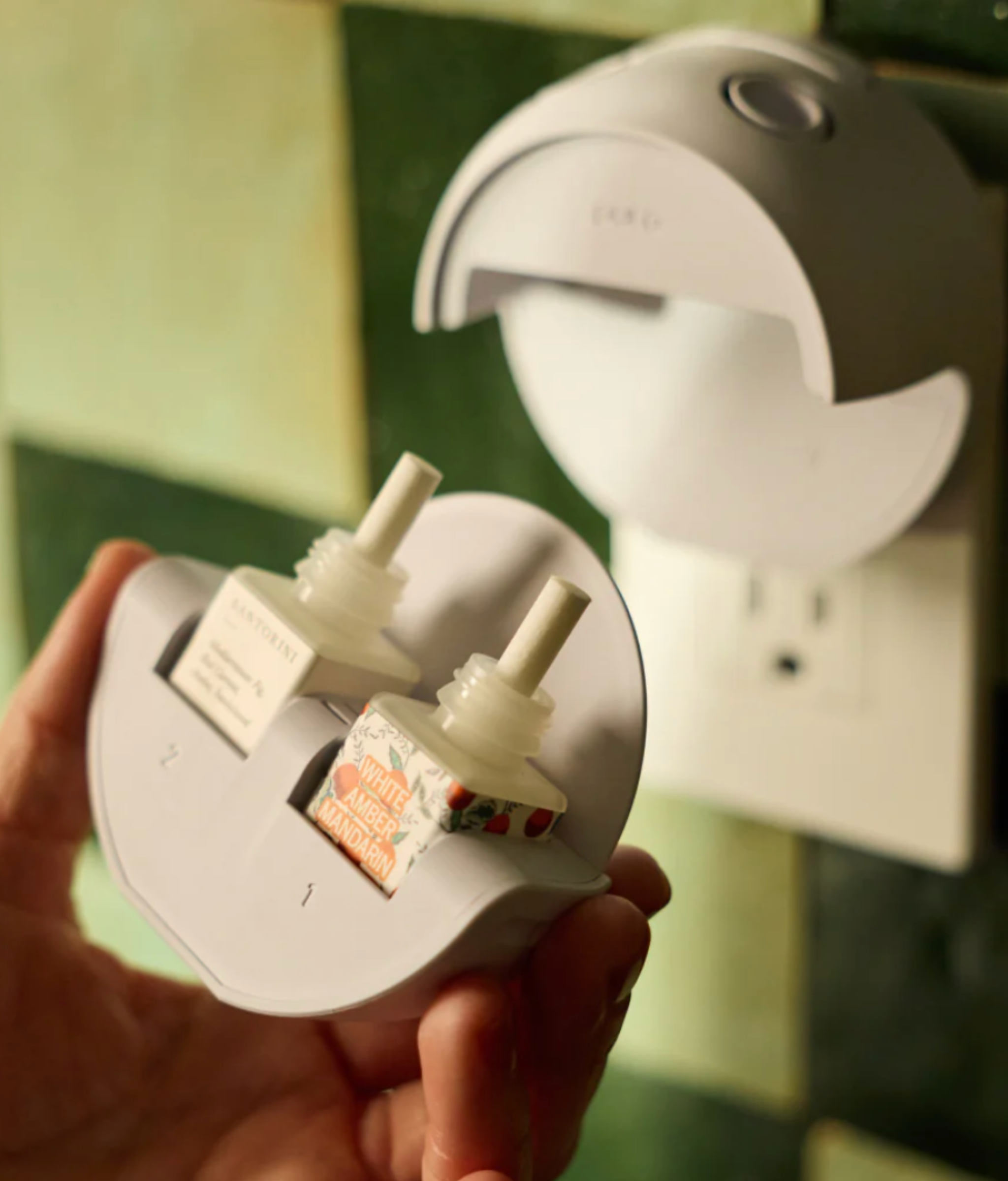 Slide image