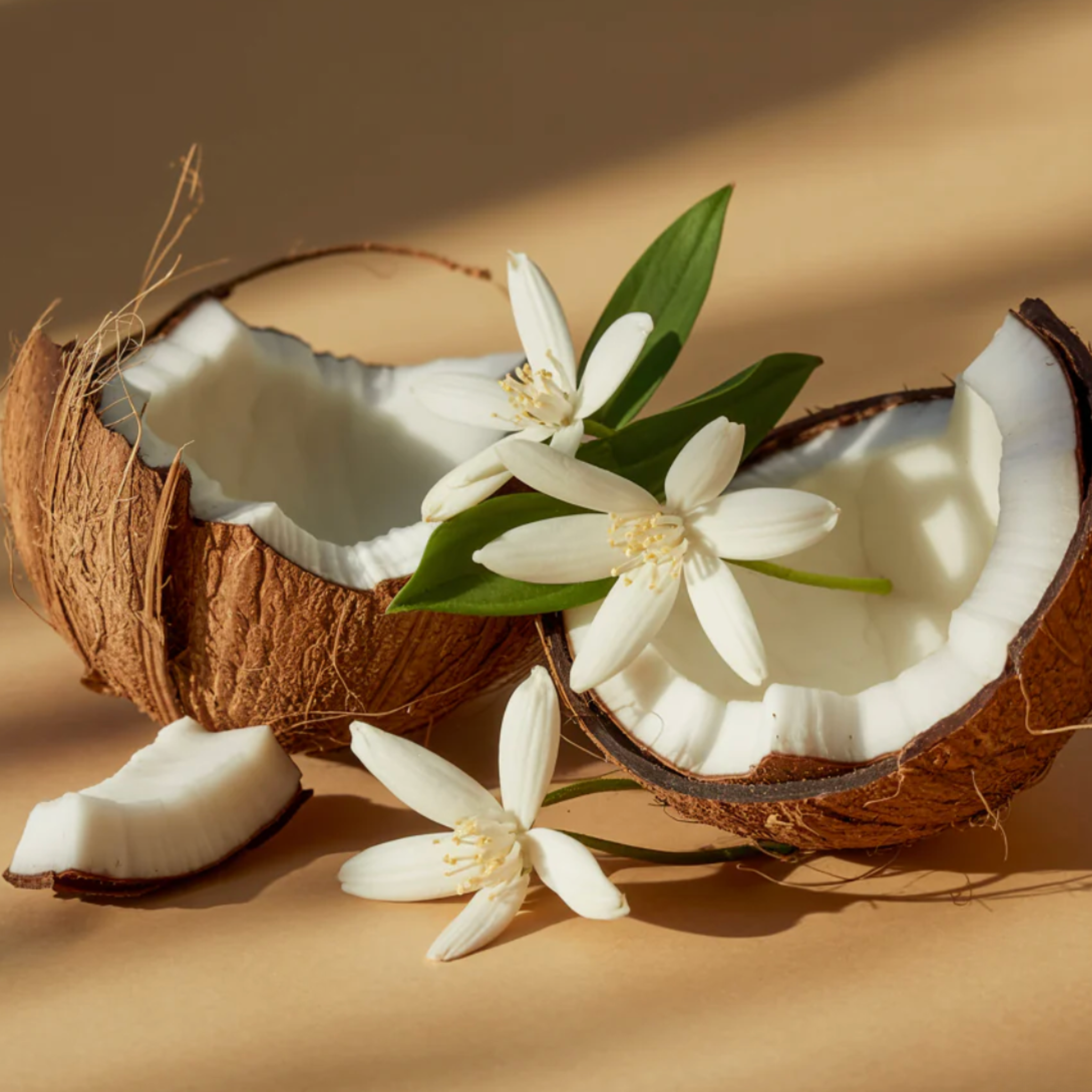 Coconut Calm by Becki Owens Pura Smart Vial