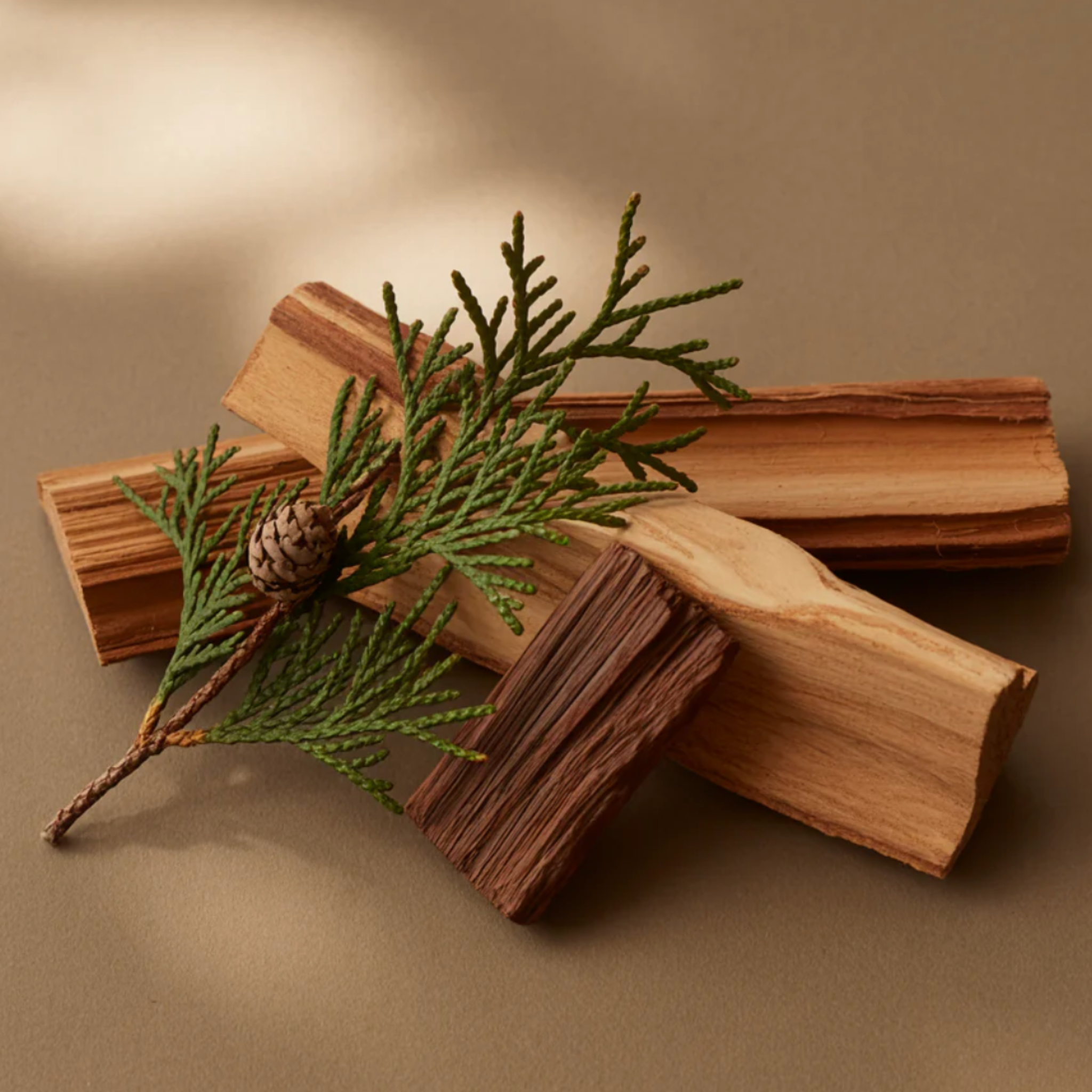 Palo Santo by Brooklyn Candle Pura Smart Vial