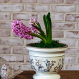 6.5" Beige & Blue Floral Pattern Pot