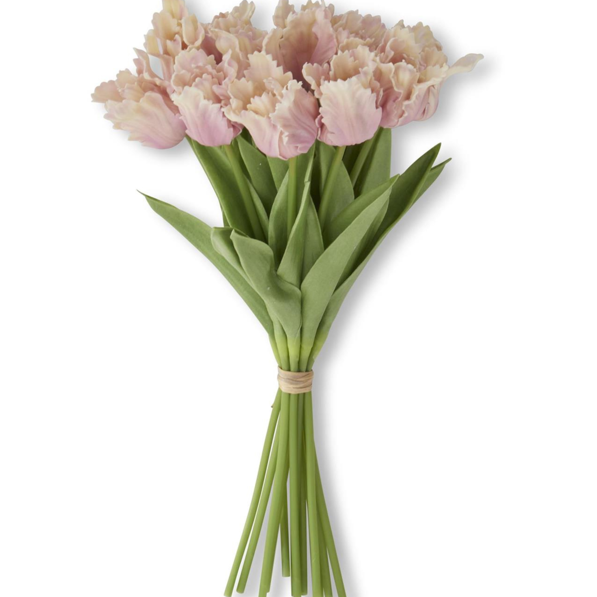 13" Real Touch Parrot Tulip - 1 Stem