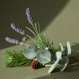 Lavender Fields Pura Smart Vial