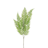 39" Lace Fern Spray