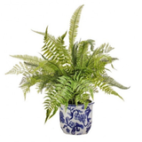 20" Natural Touch Mixed Fern In Blue Delft Pot