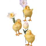 Spring Chick w/ Flower