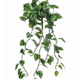 42" Natural Touch Pothos Hanging Plant