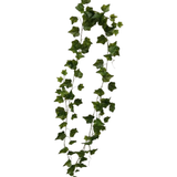 72" English Garden Ivy Hanging Bush
