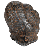 Cast Iron Snail