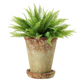 Distressed Terra-cotta Planter w/ Saucer