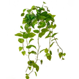 48" Natural Touch Pothos