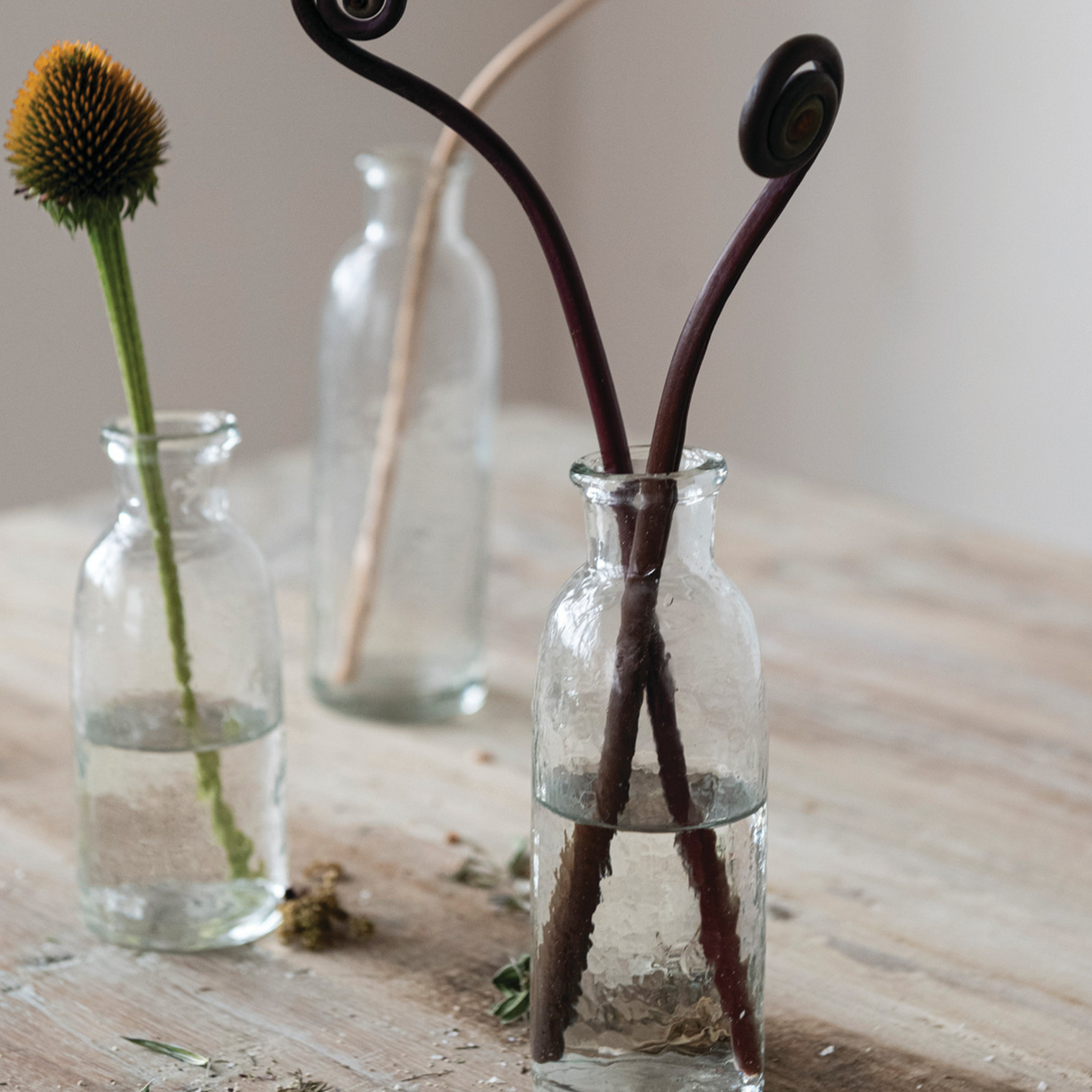 Hand-Blown Glass Bottle Vases