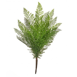 19" Natural Touch Feather Fern Bush