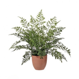 19" Natural Touch Maiden Fern